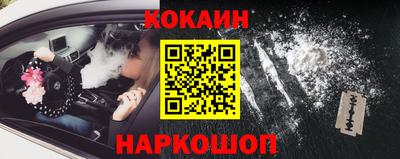 сатива Кандалакша