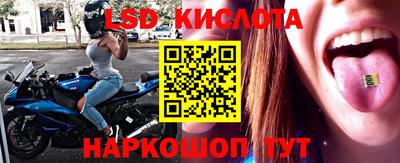 сатива Кандалакша
