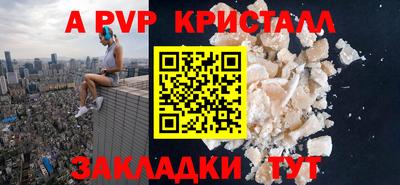 сатива Кандалакша