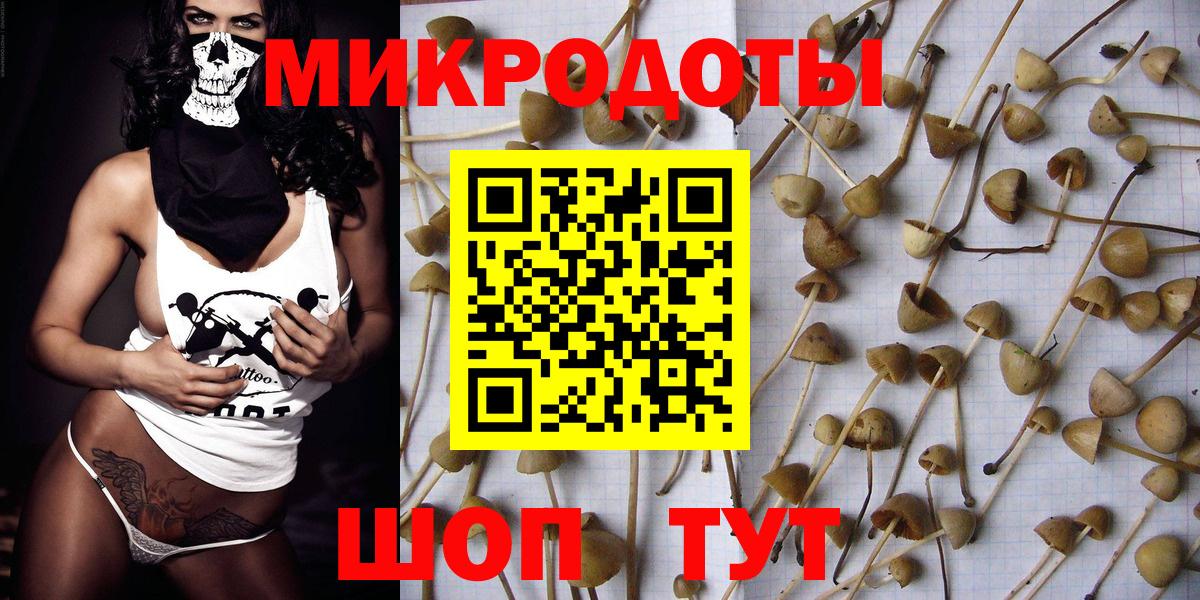 Псилоцибиновые грибы GOLDEN TEACHER Глазов