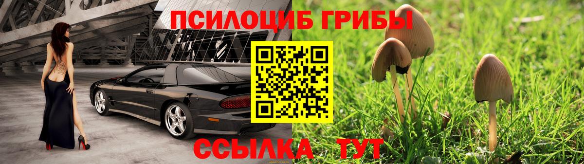 Глазов  Галлюциногенные грибы ЛСД  Вход с VPN 